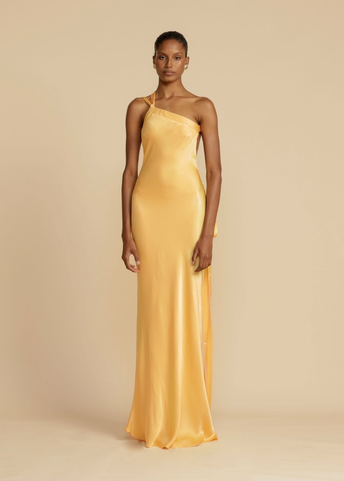 Maxi šaty Rosea Silk s elegantními ramínky